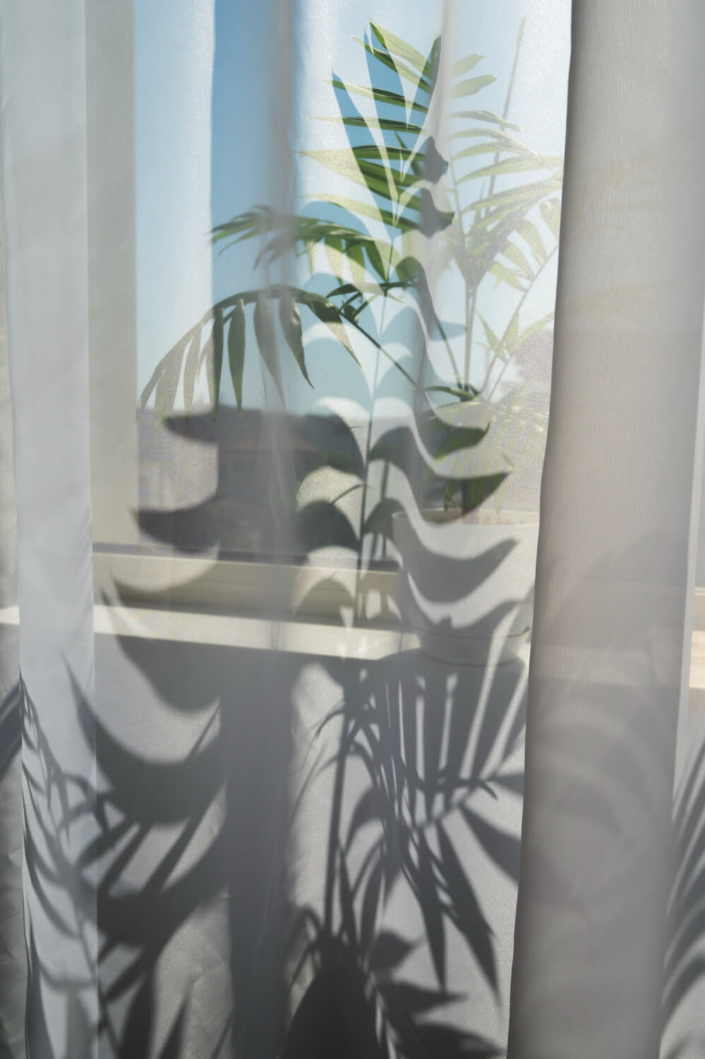 casa fresca verano Valencia