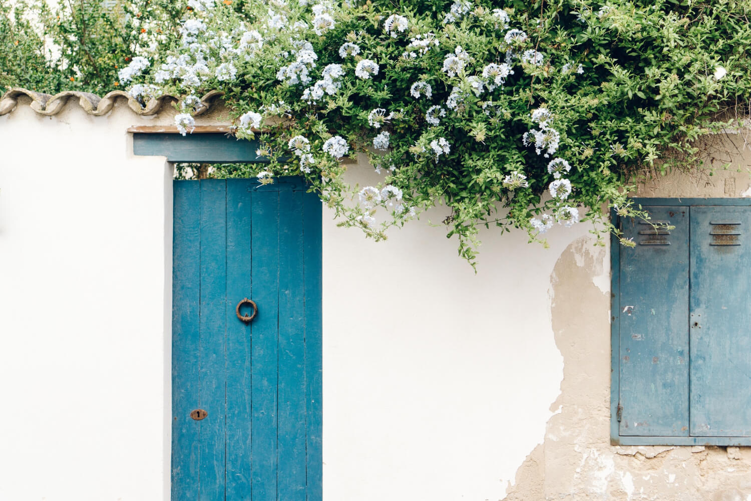 tendencias interiorismo verano Valencia